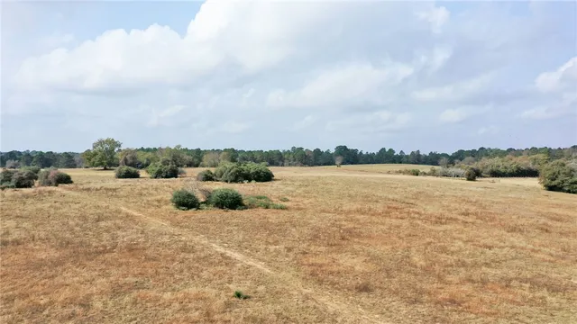 $392,568 | 1260 Rd Centerville Tx 75833 Road, Centerville, TX 75833