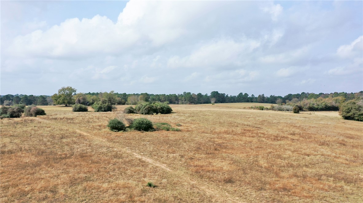 1260 Rd Centerville Tx 75833 Road Centerville, TX 75833 - Photo 22 of 26 View of local wilderness featuring rural landscape