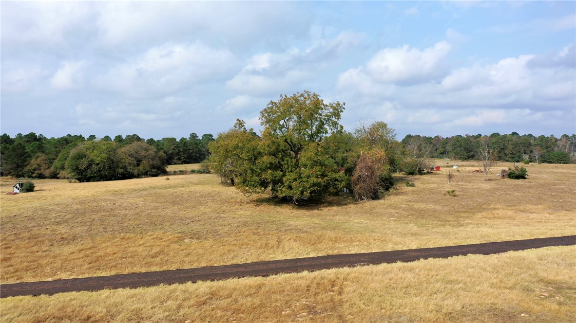 1260 Rd Centerville Tx 75833 Road Centerville, TX 75833 - Photo 7 of 26 View of local wilderness featuring rural landscape
