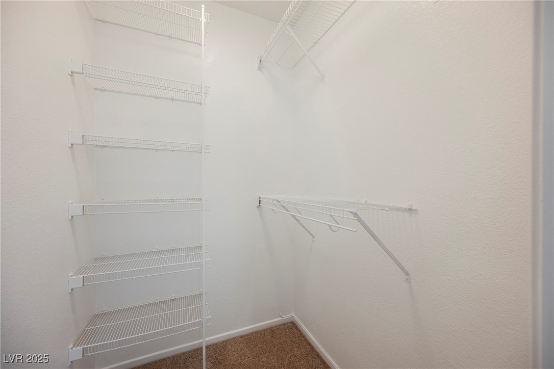 1161 Gecko Road Henderson, NV 89002 - Photo 37 of 54 Walk in closet with carpet flooring