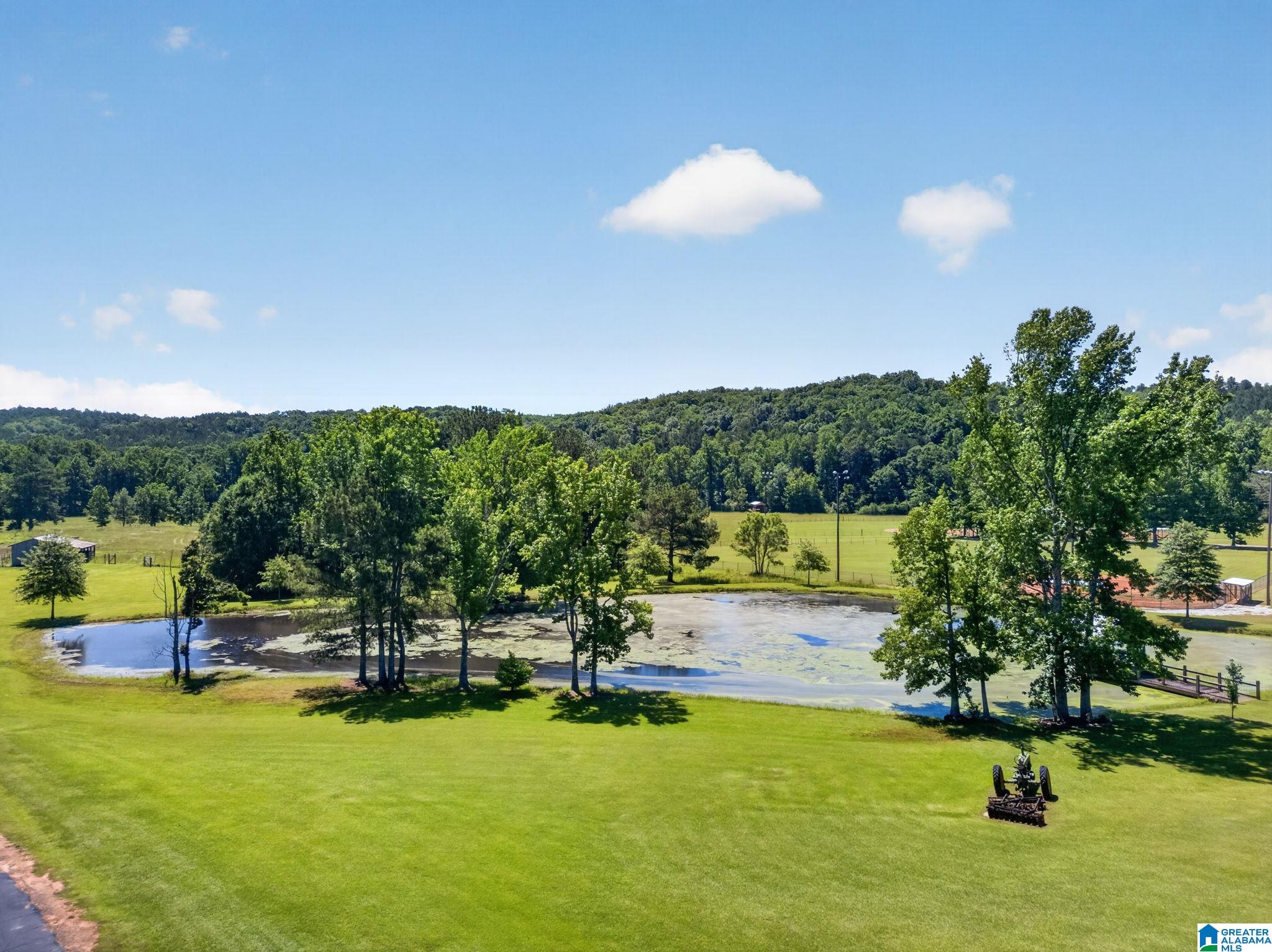 3463 County Road 3 Delta, AL 36258 - Photo 88 of 100