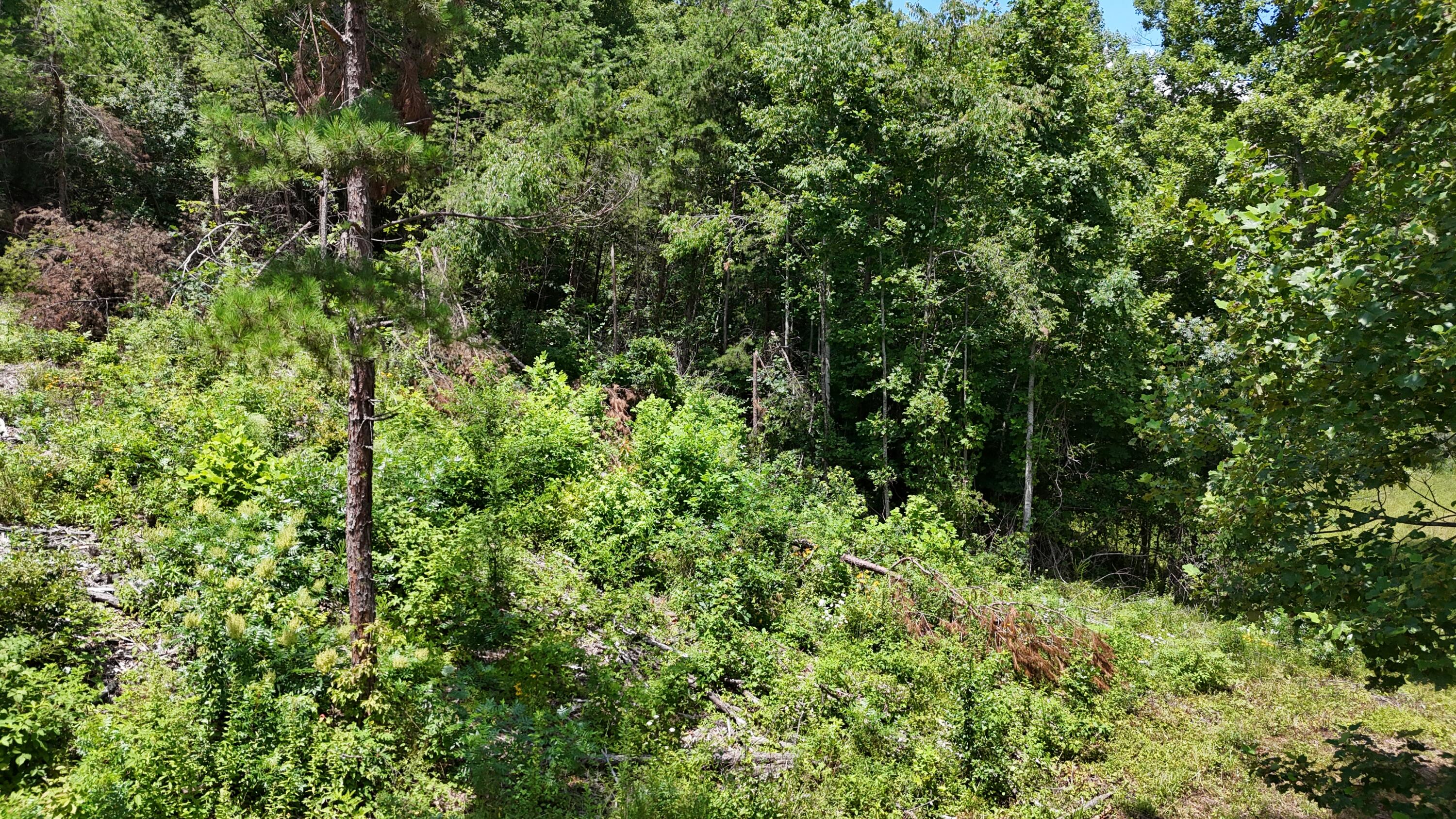 999 Lick Fork Road London, KY 40741 - Photo 14 of 21 DJI_20260717124452_0290_D