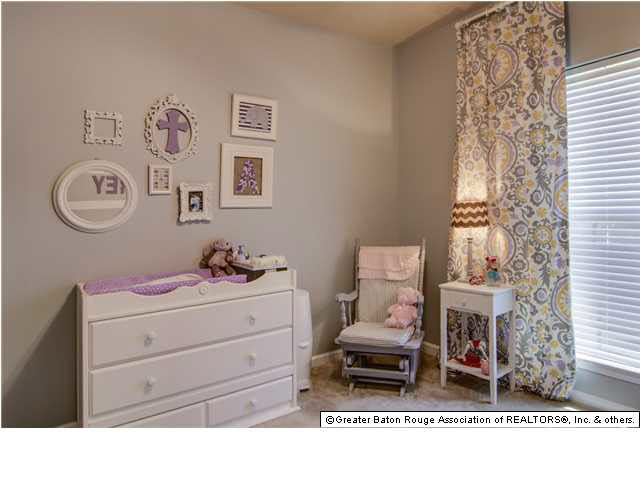 42324 Devall Road Prairieville, LA 70769 - Photo 21 of 26 Gallery Image 21