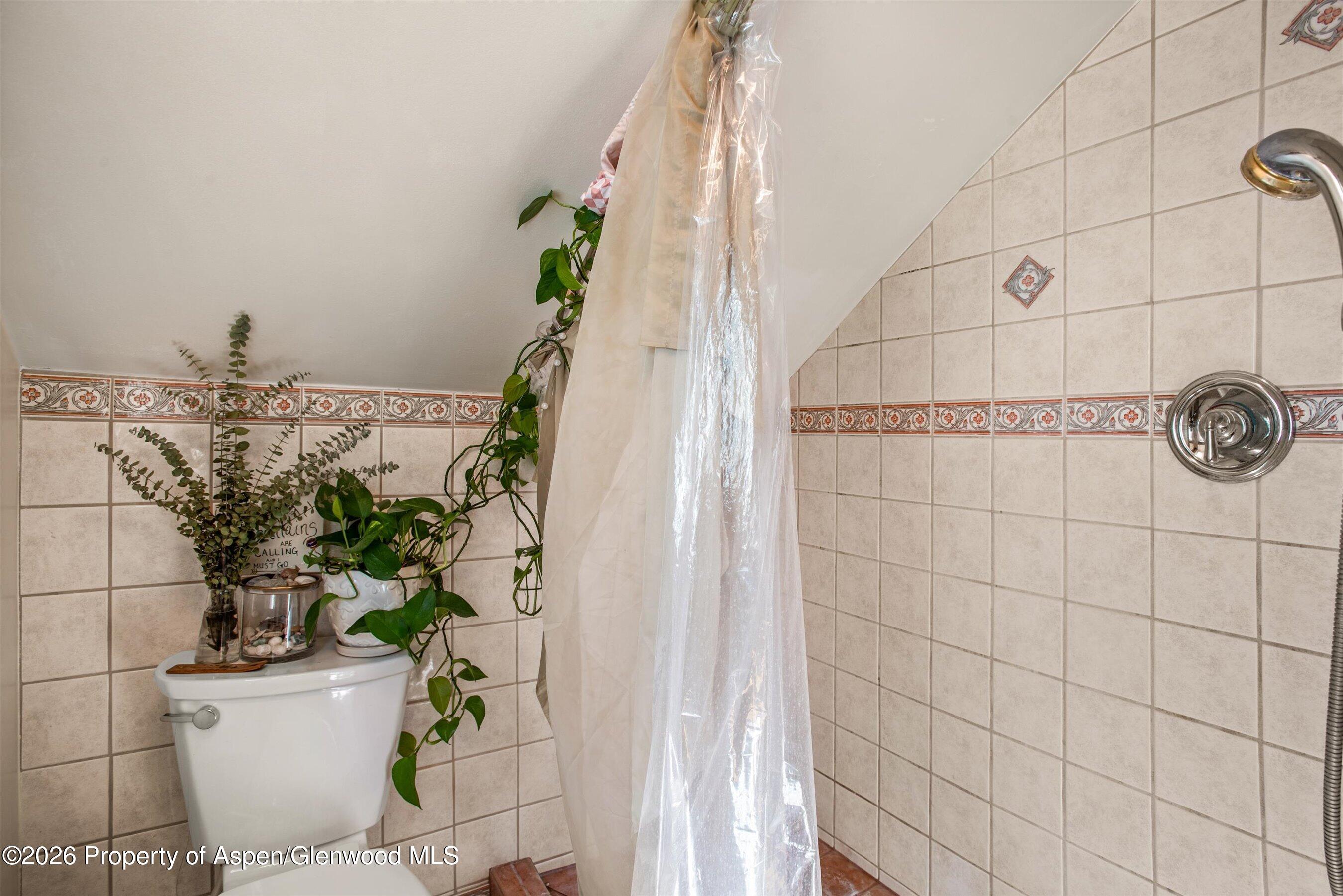244 Redstone Boulevard Redstone, CO 81623 - Photo 44 of 55 a bathroom with a potted plant and a shower