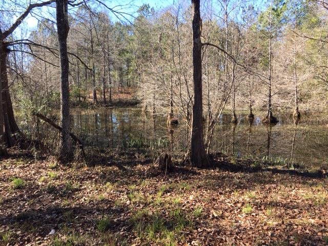 Lot 1 Harbor Road Andalusia, AL 36421 - Photo 4 of 5 Gallery Image 4
