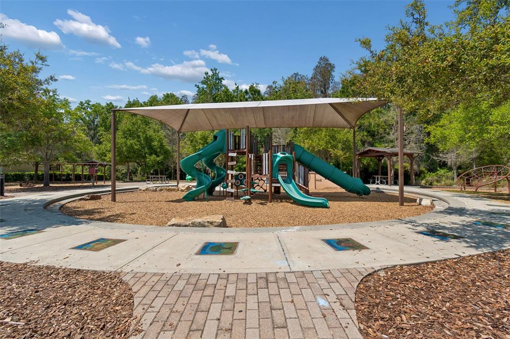 32697 Natural Bridge Road Wesley Chapel, FL 33543 - Photo 64 of 69 Gallery Image 64