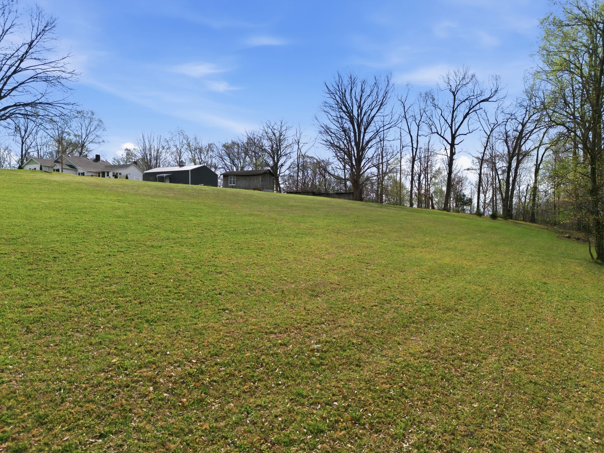 2667 Crocker Springs Road Goodlettsville, TN 37072 - Photo 53 of 64 a view of yard with swimming pool and green space