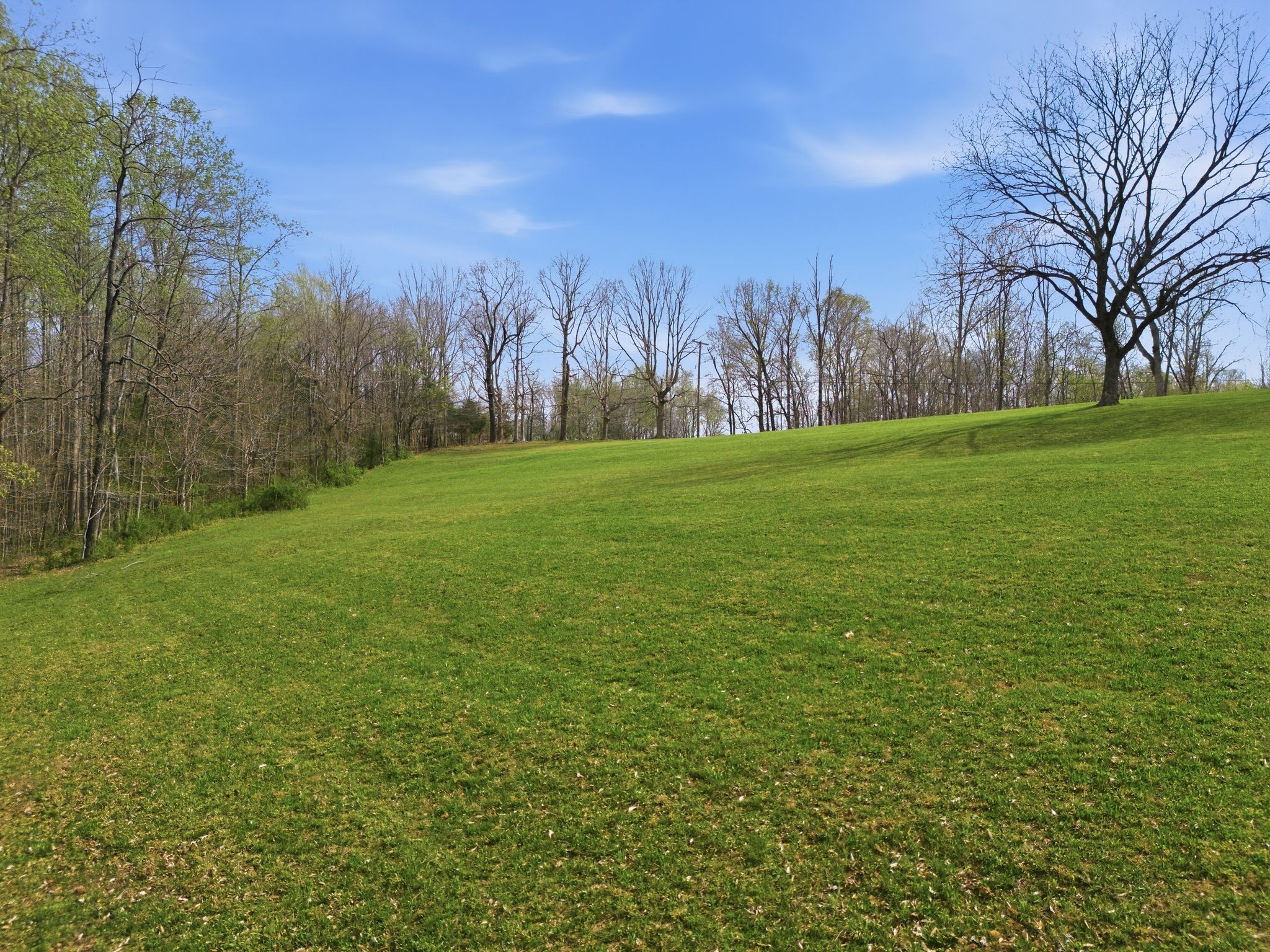 2667 Crocker Springs Road Goodlettsville, TN 37072 - Photo 54 of 64 a view of a field with trees in the background