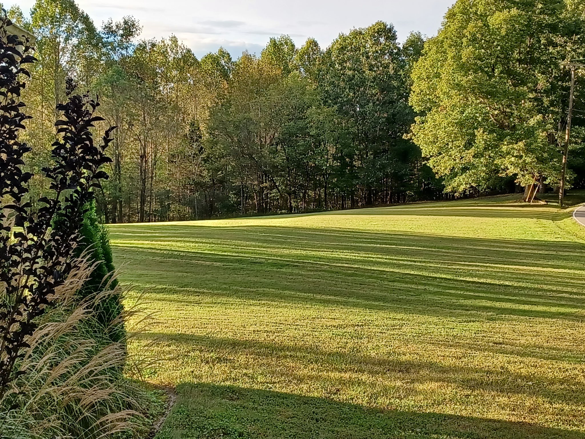 2667 Crocker Springs Road Goodlettsville, TN 37072 - Photo 57 of 64 a view of an ocean view