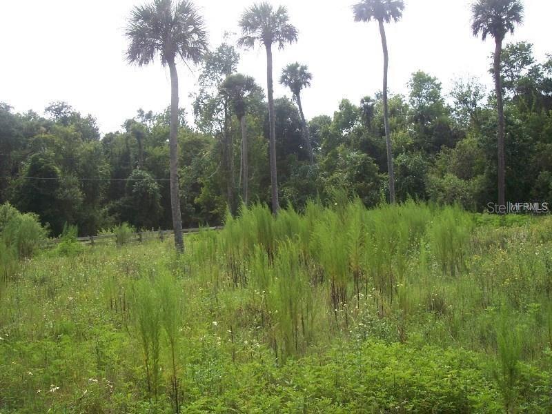 Adair Road Davenport, FL 33837 - Photo 1 of 1