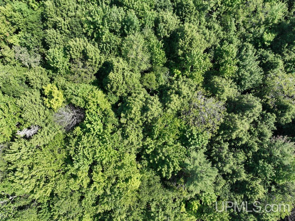 0 Peter White Road Au Train, MI 49806 - Photo 7 of 12