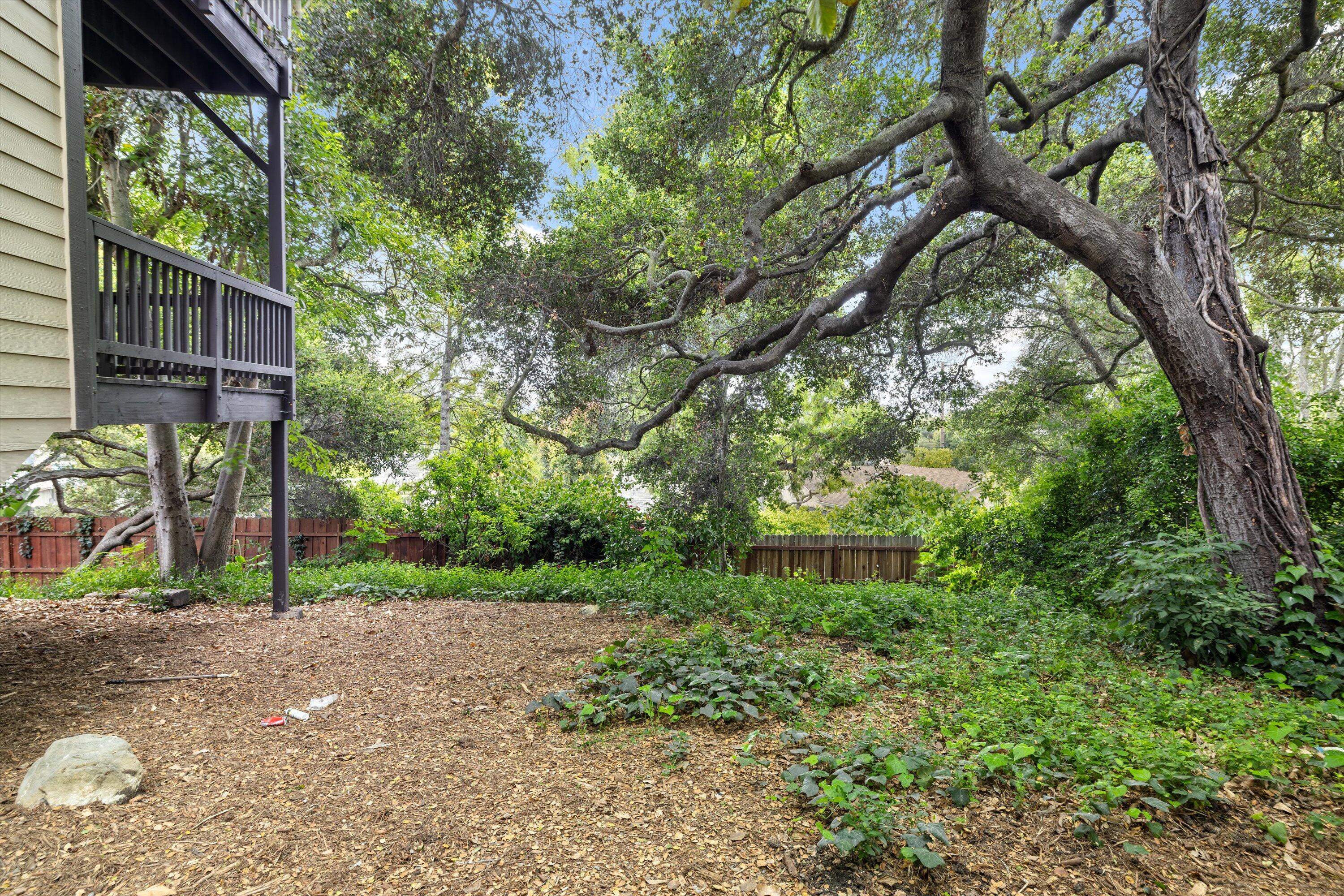 827 Cheltenham Road Santa Barbara, CA 93105 - Photo 38 of 47 a view of a back yard