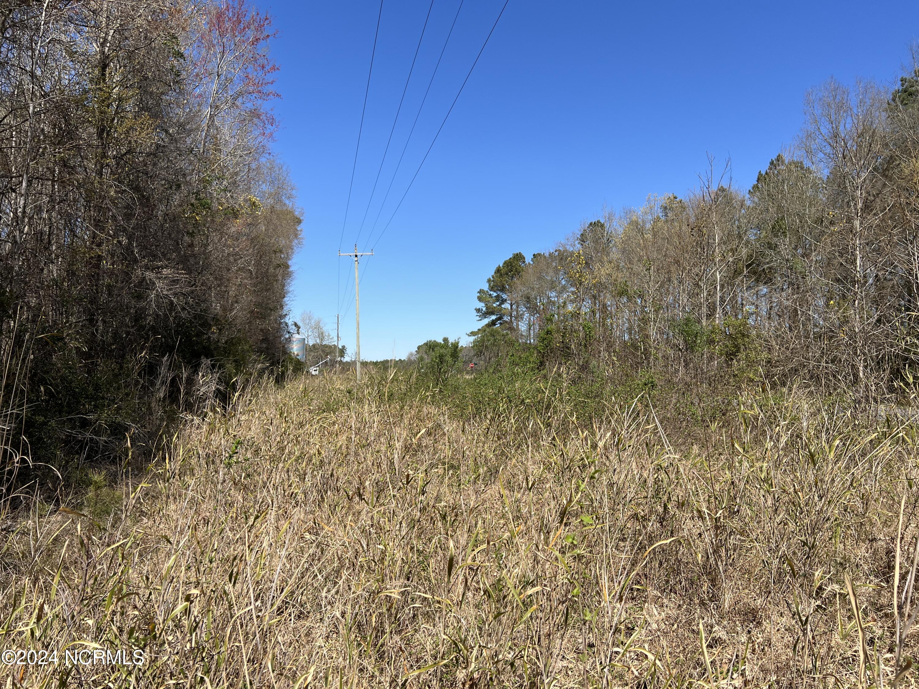 Lot #0 Sr 1736 Road Bath, NC 27808 - Photo 7 of 13 IMG_2697
