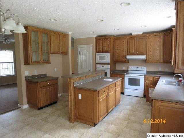 690 Pine Mountain Road Remlap, AL 35133 - Photo 3 of 12