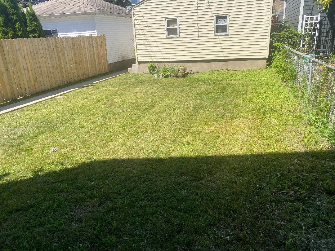 3718 North Spaulding Avenue Chicago, IL 60618 - Photo 17 of 18