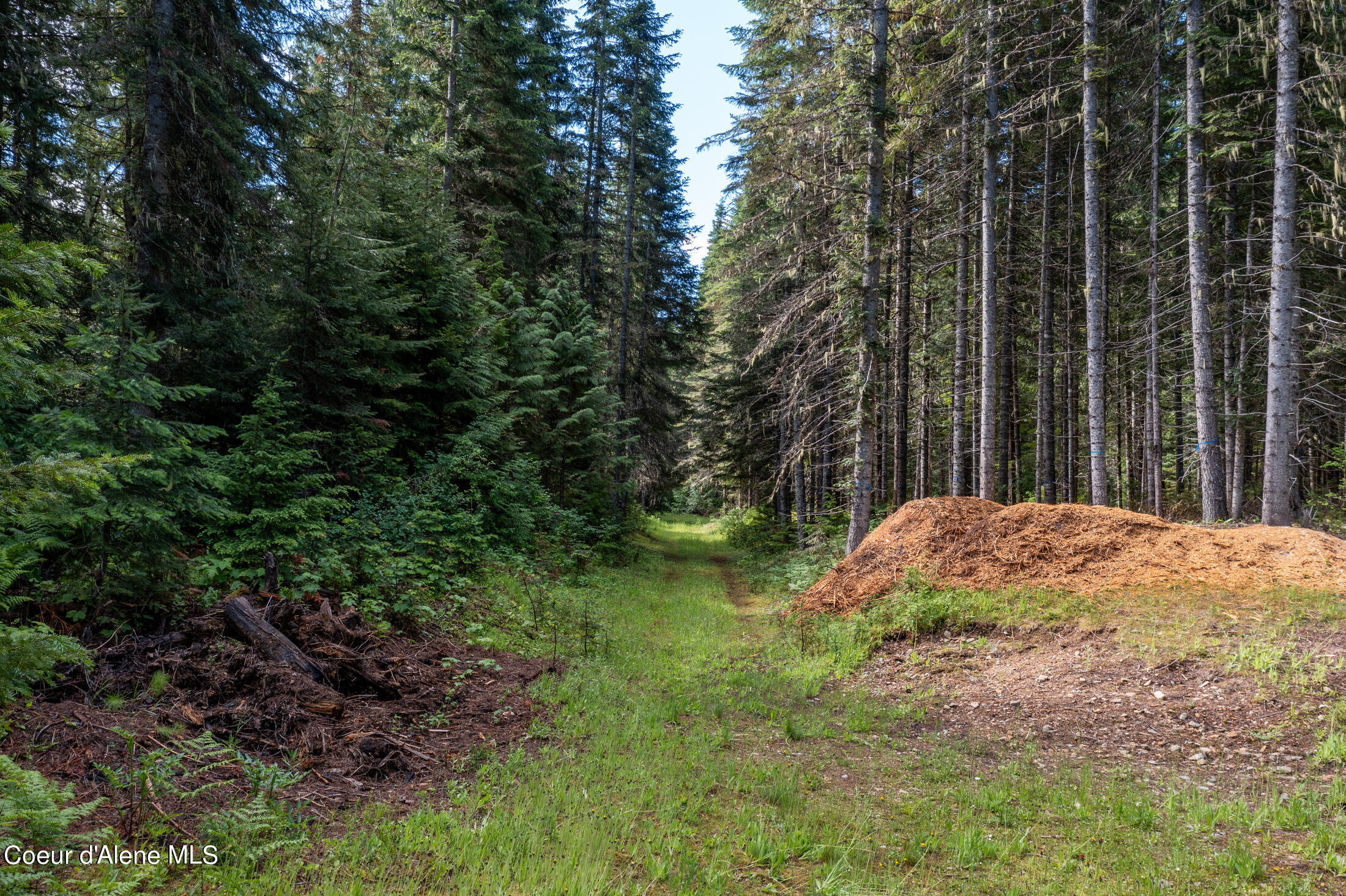 Nna Beaver Creek Road Wallace, ID 83873 - Photo 13 of 56 DJI_0707-HDR-5