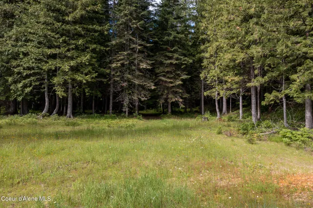 $765,000 | Nna Beaver Creek Road, Wallace, ID 83873
