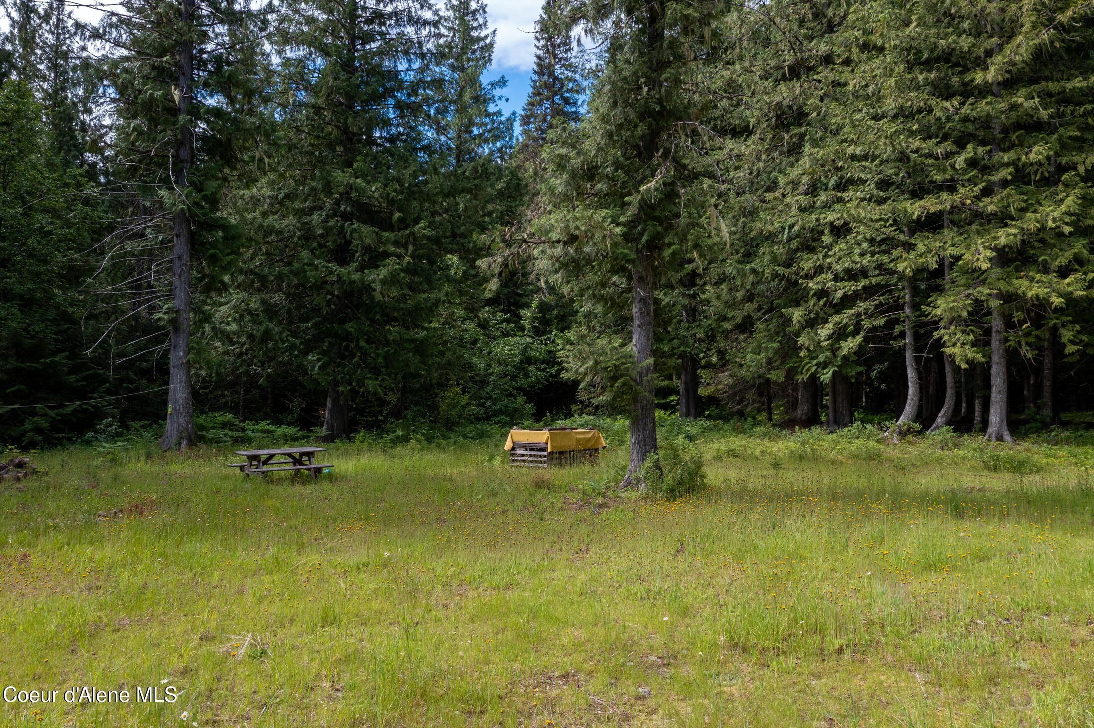 Nna Beaver Creek Road Wallace, ID 83873 - Photo 19 of 56 DJI_0795-HDR-28