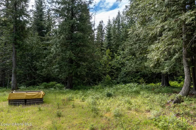 $765,000 | Nna Beaver Creek Road, Wallace, ID 83873