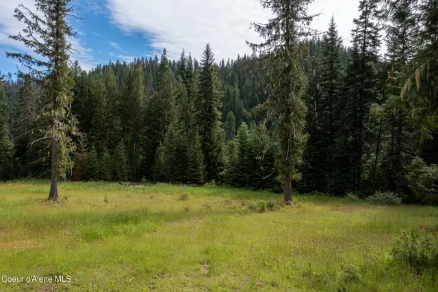 $765,000 | Nna Beaver Creek Road, Wallace, ID 83873