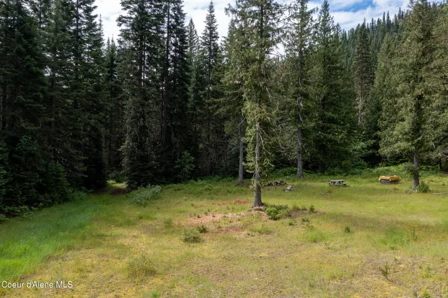 $765,000 | Nna Beaver Creek Road, Wallace, ID 83873