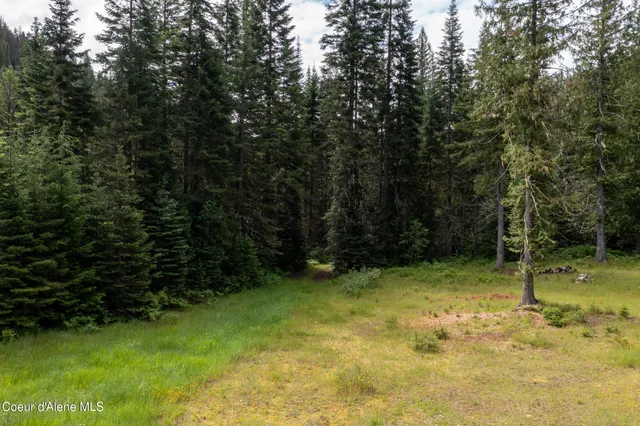 $765,000 | Nna Beaver Creek Road, Wallace, ID 83873