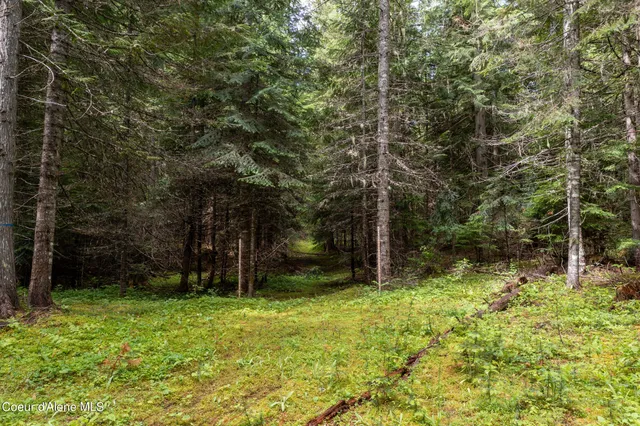 $765,000 | Nna Beaver Creek Road, Wallace, ID 83873