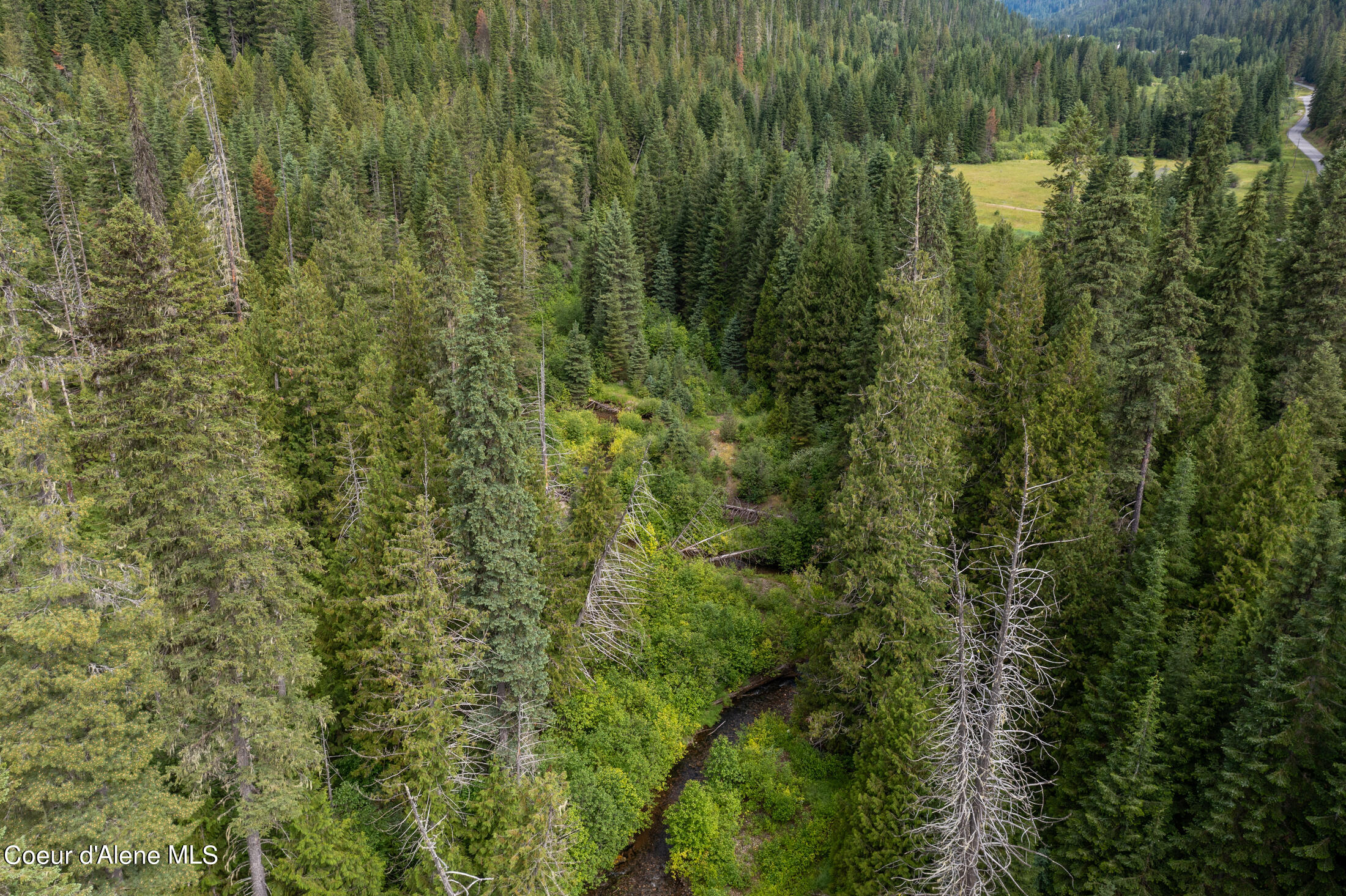 Nna Beaver Creek Road Wallace, ID 83873 - Photo 39 of 56 DJI_0864-HDR-47
