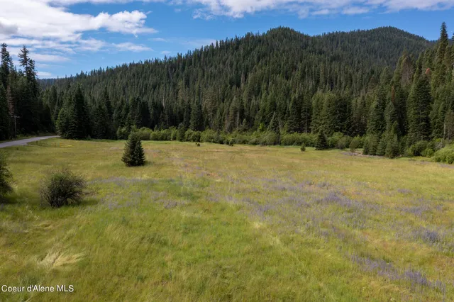 $765,000 | Nna Beaver Creek Road, Wallace, ID 83873
