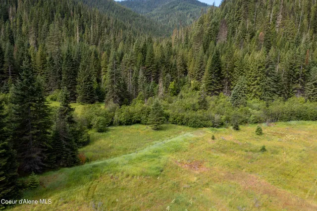 $765,000 | Nna Beaver Creek Road, Wallace, ID 83873