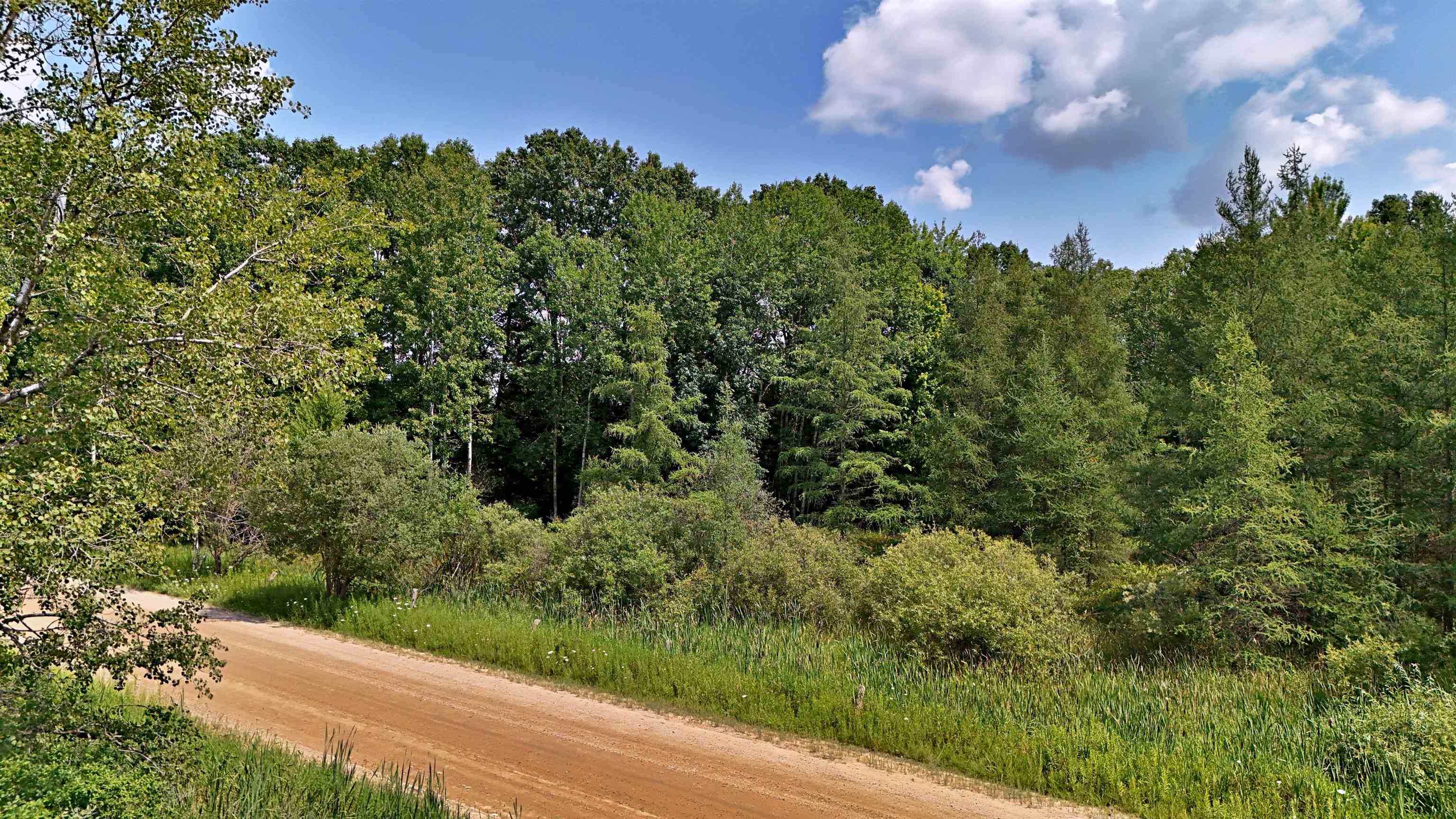 V/l South 37 Road Cadillac, MI 49601 - Photo 3 of 9