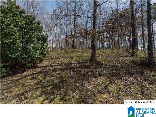 64 Red Stick Road Pelham, AL 35124 - Photo 32 of 33