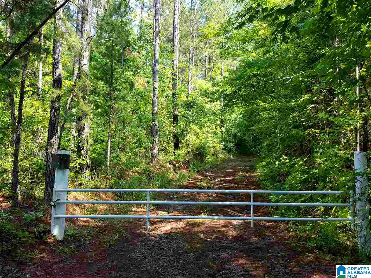 0 Chapman Road, Unit 175 Goodwater, AL 35072 - Photo 12 of 16