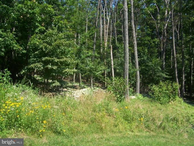 7918 Edgewood Church Road Frederick, MD 21702 - Photo 11 of 16 Wooded View / Acreage