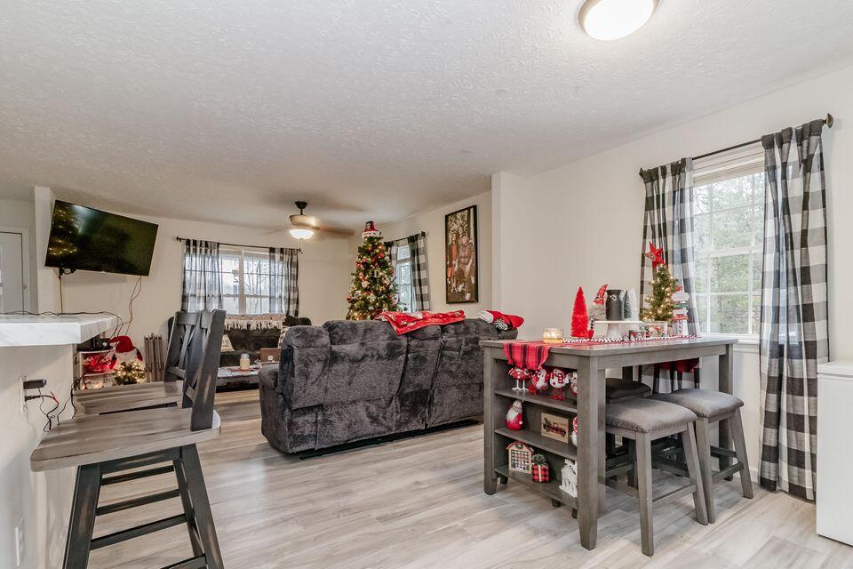 226 Old Justice Road Trion, GA 30753 - Photo 9 of 45 Great Room