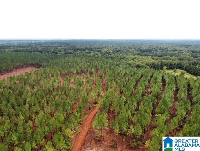 231 Us Highway Mathews, AL 36052 - Photo 3 of 22