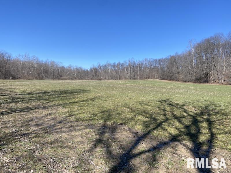 East 1950th Road Dennison, IL 62423 - Photo 66 of 79 Gallery Image 66