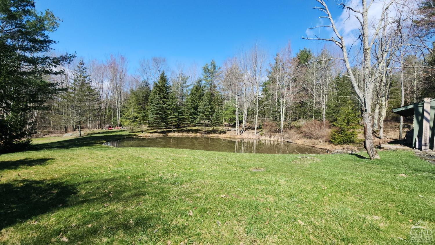 159 Toles Hollow Road Conesville, NY 12076 - Photo 11 of 53 a view of a yard with a house