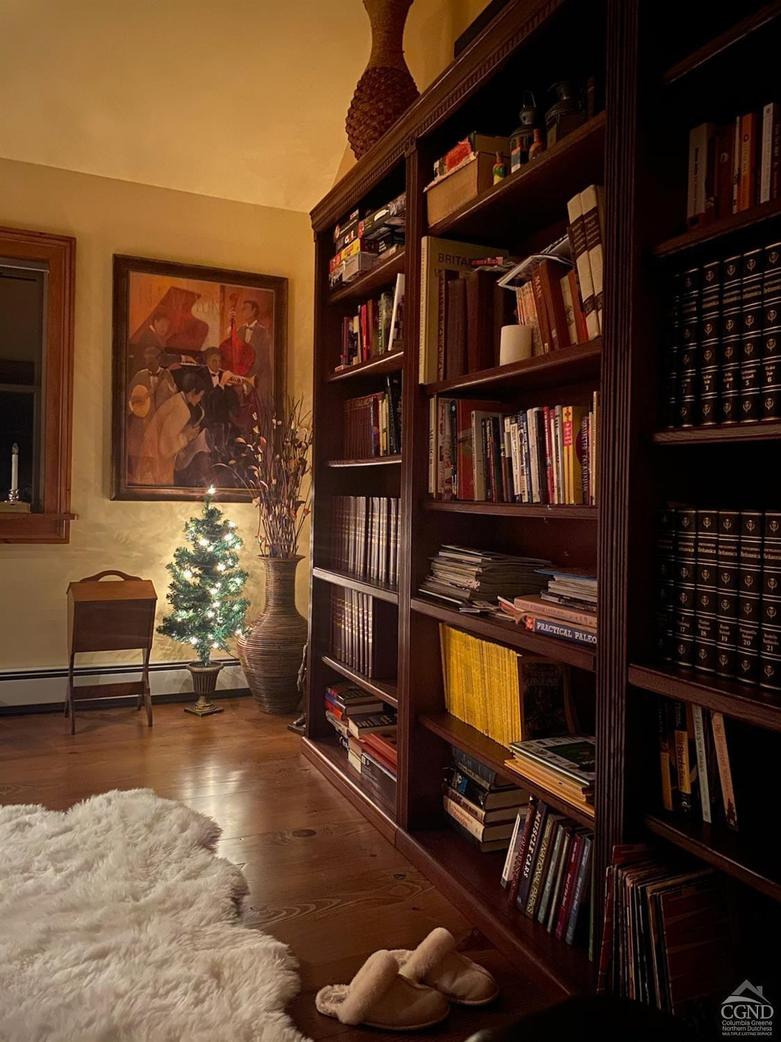 159 Toles Hollow Road Conesville, NY 12076 - Photo 25 of 53 a reading room with furniture book shelf and a rug