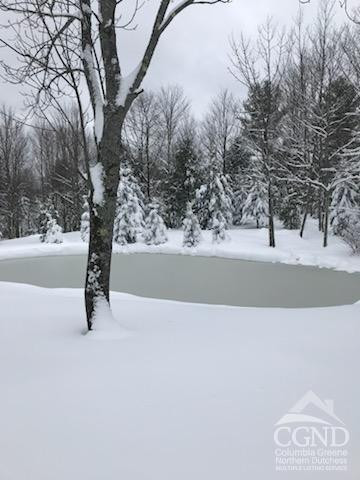 159 Toles Hollow Road Conesville, NY 12076 - Photo 49 of 53 a view of outdoor space with garden