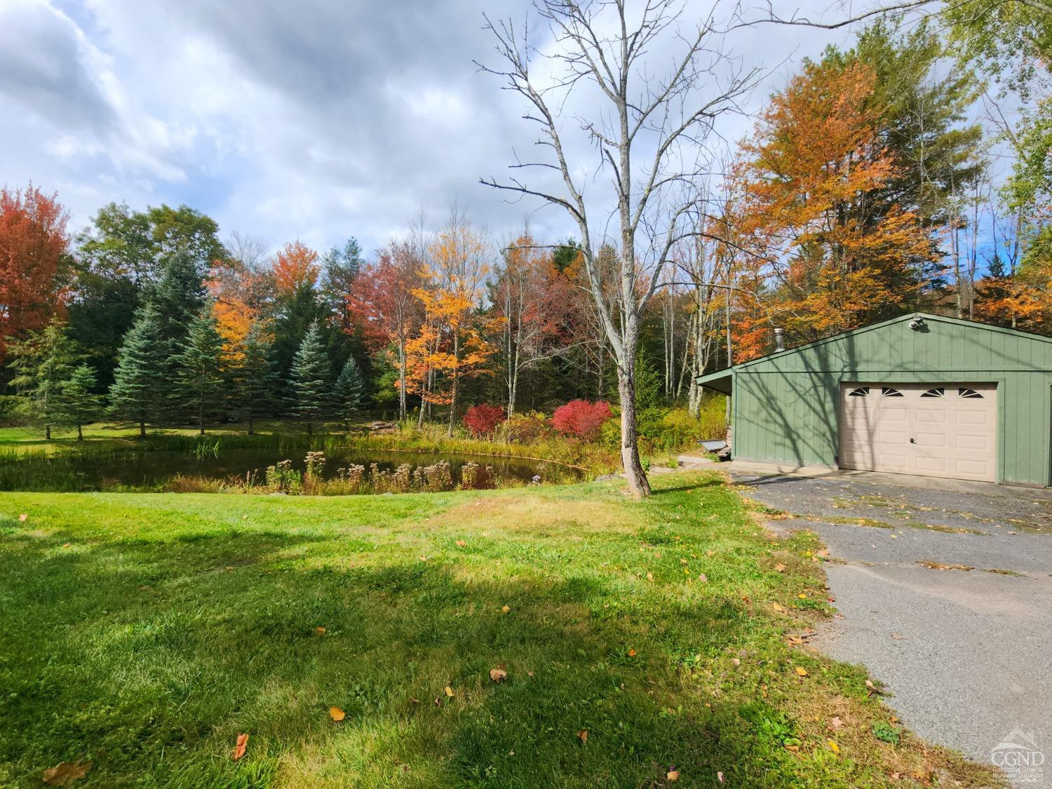 159 Toles Hollow Road Conesville, NY 12076 - Photo 5 of 53 a view of a park with large trees