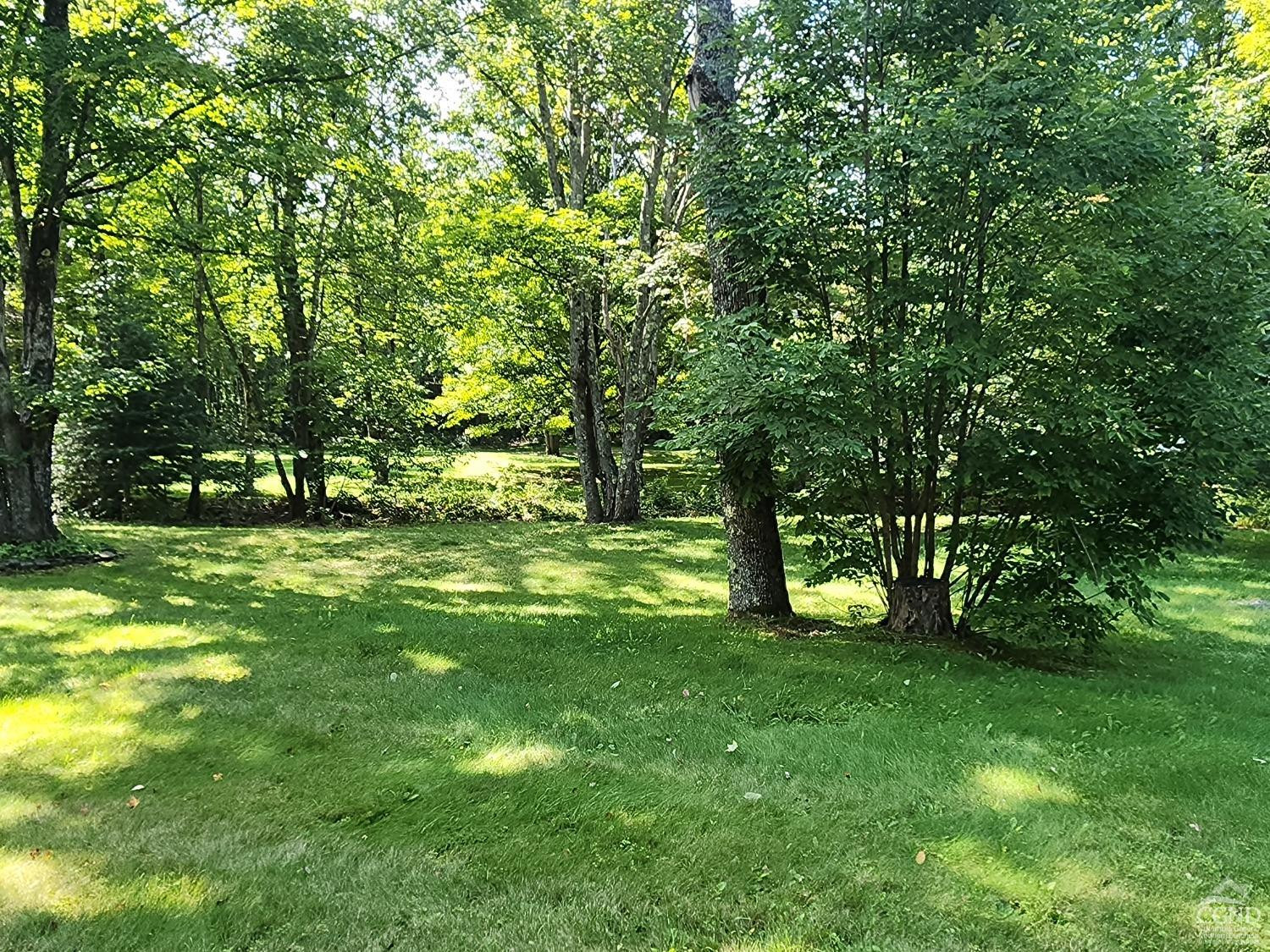 159 Toles Hollow Road Conesville, NY 12076 - Photo 51 of 53 a view of green field