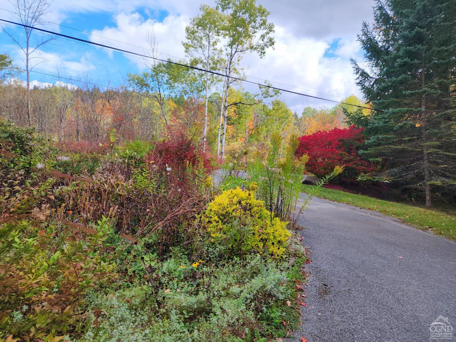 159 Toles Hollow Road Conesville, NY 12076 - Photo 53 of 53 a backyard of a house with lots of green space and plants