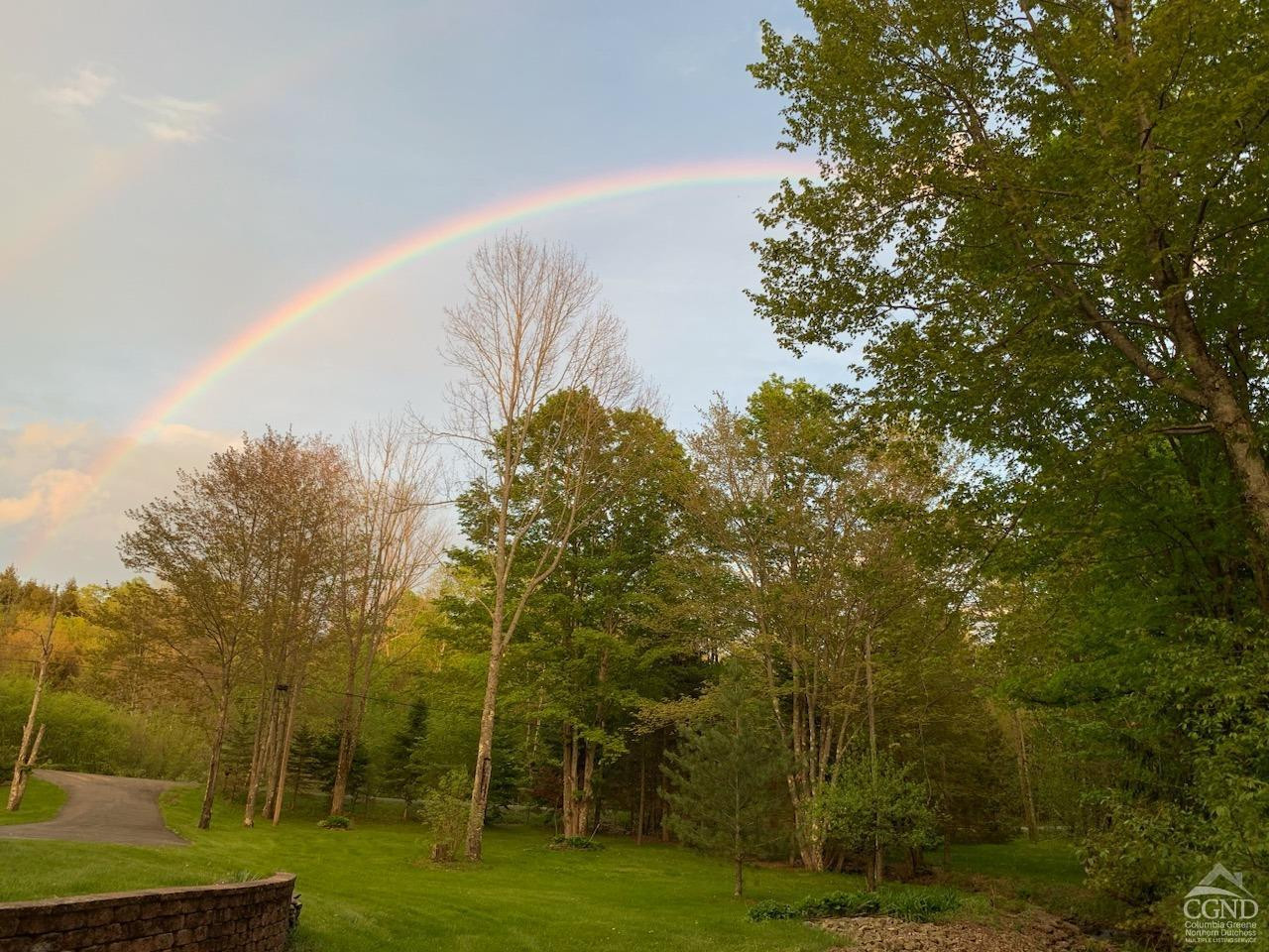 159 Toles Hollow Road Conesville, NY 12076 - Photo 7 of 53 a view of a grassy field with trees
