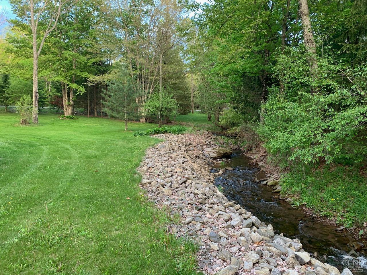 159 Toles Hollow Road Conesville, NY 12076 - Photo 8 of 53 a view of a yard with plants and trees