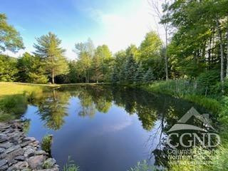 159 Toles Hollow Road Conesville, NY 12076 - Photo 10 of 53 a view of a lake with a house in the background