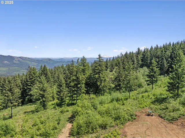 $489,000 | 0 Northeast 298th Court, Camas, WA 98607