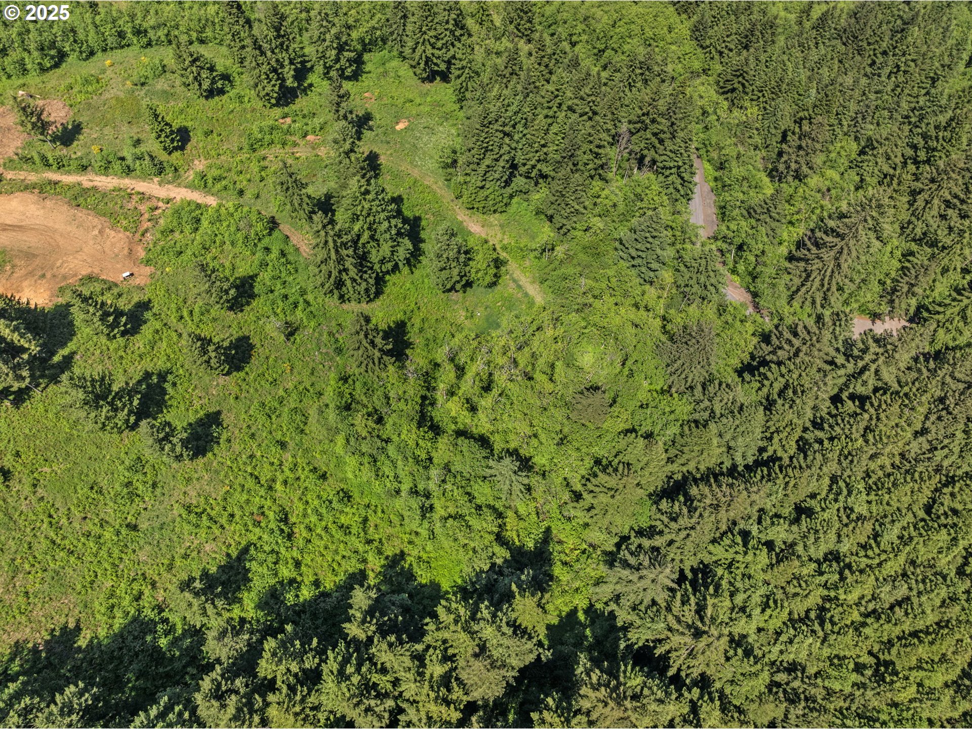 0 Northeast 298th Court Camas, WA 98607 - Photo 11 of 15