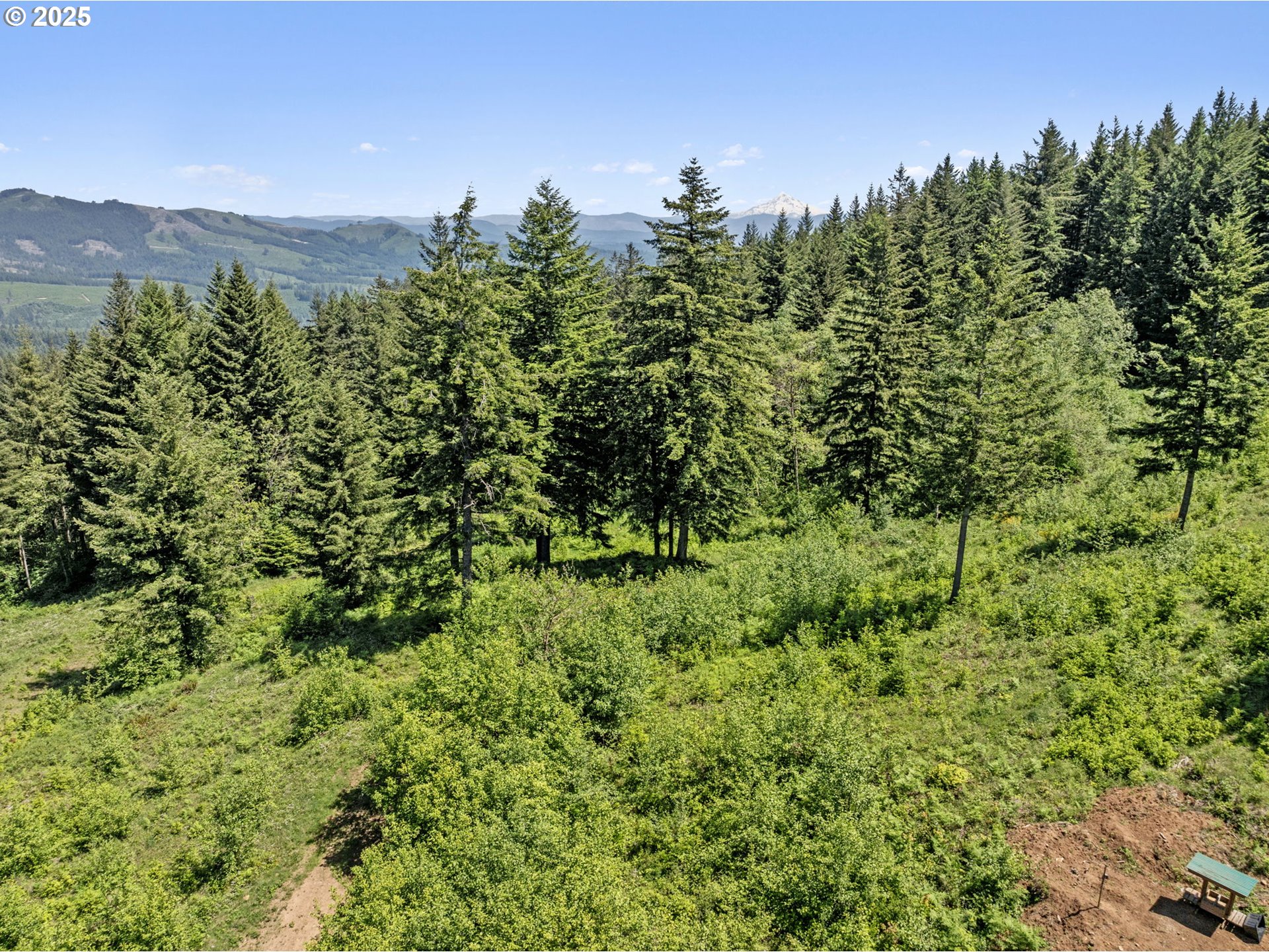 0 Northeast 298th Court Camas, WA 98607 - Photo 3 of 15