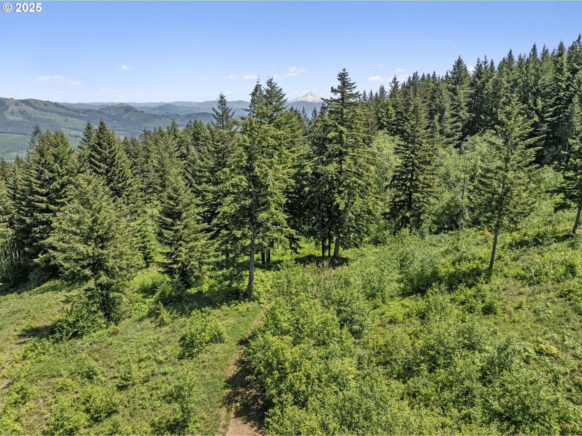 0 Northeast 298th Court Camas, WA 98607 - Photo 4 of 15